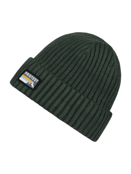 PROTEST PRTWorsley Beanie