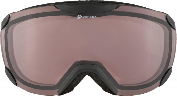 ALPINA Skibrille Pheos QVMM